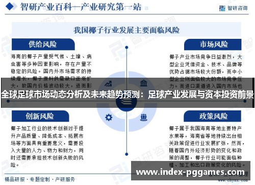 全球足球市场动态分析及未来趋势预测：足球产业发展与资本投资前景