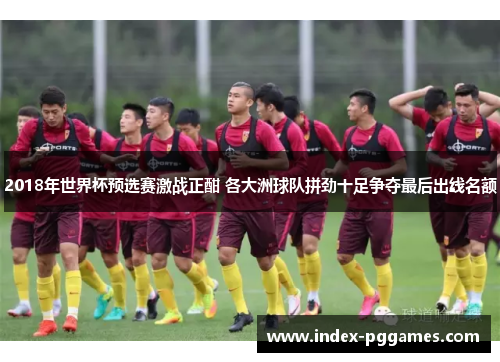 2018年世界杯预选赛激战正酣 各大洲球队拼劲十足争夺最后出线名额