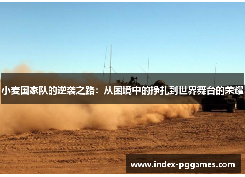 小麦国家队的逆袭之路：从困境中的挣扎到世界舞台的荣耀