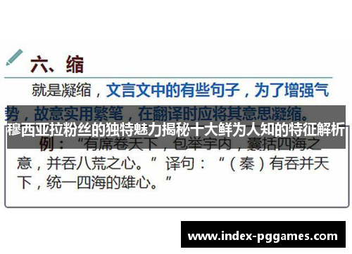 穆西亚拉粉丝的独特魅力揭秘十大鲜为人知的特征解析
