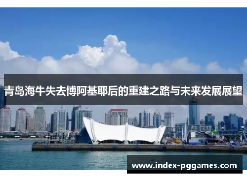 青岛海牛失去博阿基耶后的重建之路与未来发展展望