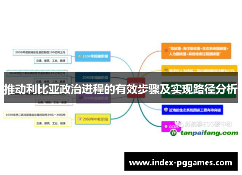 推动利比亚政治进程的有效步骤及实现路径分析